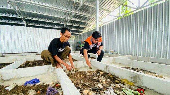 MENGUNTUNGKAN !, BUDIDAYA MAGGOT RUMAHAN UNTUK PEMULA - YouTube Budidaya maggot pemula di Krueng Barona Jaya Aceh Besar