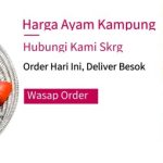 Harga ayam kampung di Krueng Barona Jaya Aceh Besar