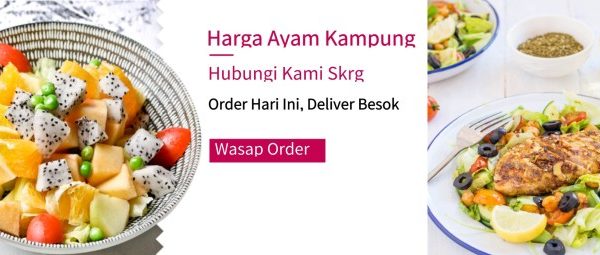 Harga ayam kampung di Krueng Barona Jaya Aceh Besar