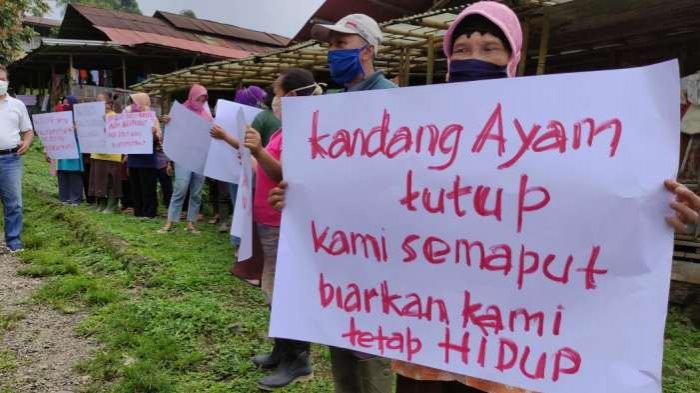 Panduan Beternak Ayam Kampung Super Bagi Pemula - HOBI TERNAK Panduan Beternak Ayam Kampung Super Bagi Pemula - HOBI TERNAK