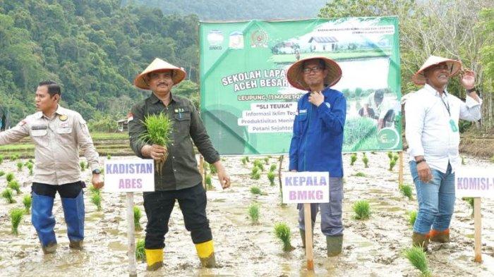 BMKG Beri Pendidikan Iklim Bagi Petani Padi Aceh Besar, Sawah di ...