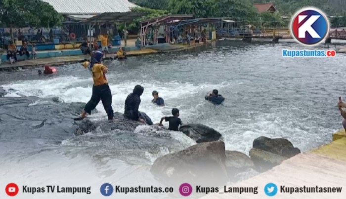 Hidup Tak Layak di Gubuk Reyot, Janda di Bandar Sribhawono ini Luput ... Ayam arab di Bandar Sribawono, Lampung Timur