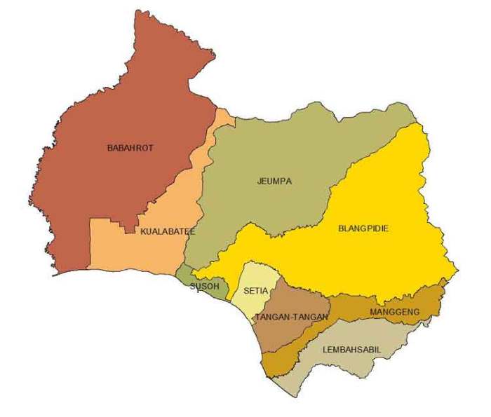 Peluang Usaha Ternak Ayam Kampung Cara Memilih Bibit Yang Tepat Peluang Usaha Ternak Ayam Kampung Cara Memilih Bibit Yang Tepat