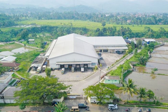 Peternakan Ayam Di Malang - Peternakan Impian Peternakan ayam kampung di Mila, Pidie