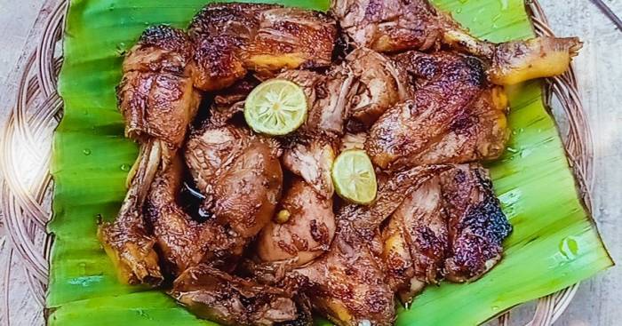 Keuntungan Berkali Lipat Berkat Ternak Ayam Arab Merah Ayam arab di Sukabumi, Kota Bandar Lampung