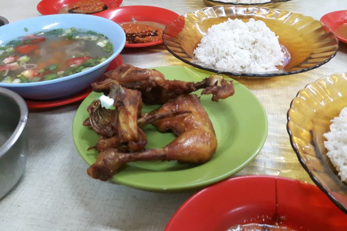 Cek Keunggulan Ayam Arab yang Menguntungkan Bagi Peternak - HOBI TERNAK