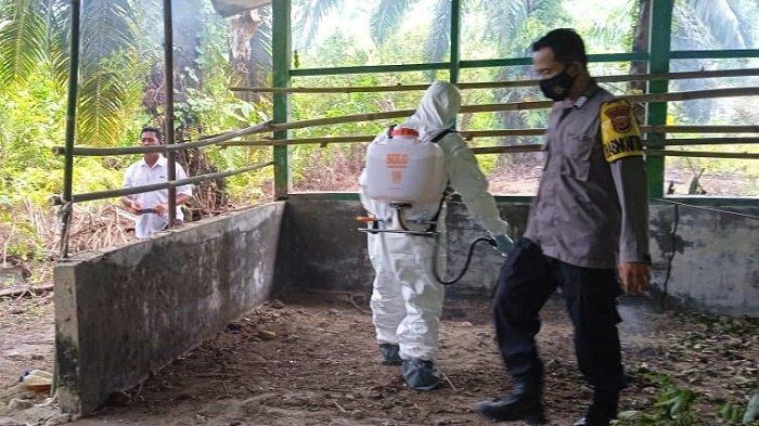 Cara Ternak Jangkrik: Panduan Lengkap untuk Pemula - Biotifor