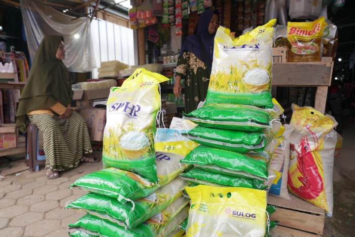 Jual Ayam Arab Usia Baru Saja Menetas dan Beberapa Informasi Mengenai ... Ayam arab di Natar, Lampung Selatan