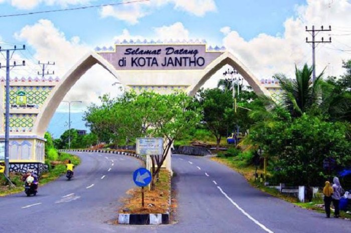 Ternak jangkrik di Kota Jantho, Aceh Besar
