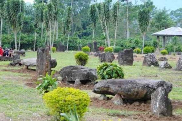 Ayam arab di Batu Brak, Lampung Barat