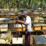 Ternak maggot di Curup Tengah, Rejang Lebong