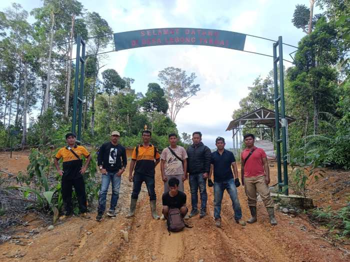 Ayam Rambo WAR #ayam #ayamjago #pakhoy #telur - YouTube Ayam arab di Rimbo Pengadang, Lebong