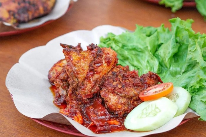 Bibit Ayam Arab sebagai Ayam Petelur yang Menguntungkan Bibit Ayam Arab sebagai Ayam Petelur yang Menguntungkan