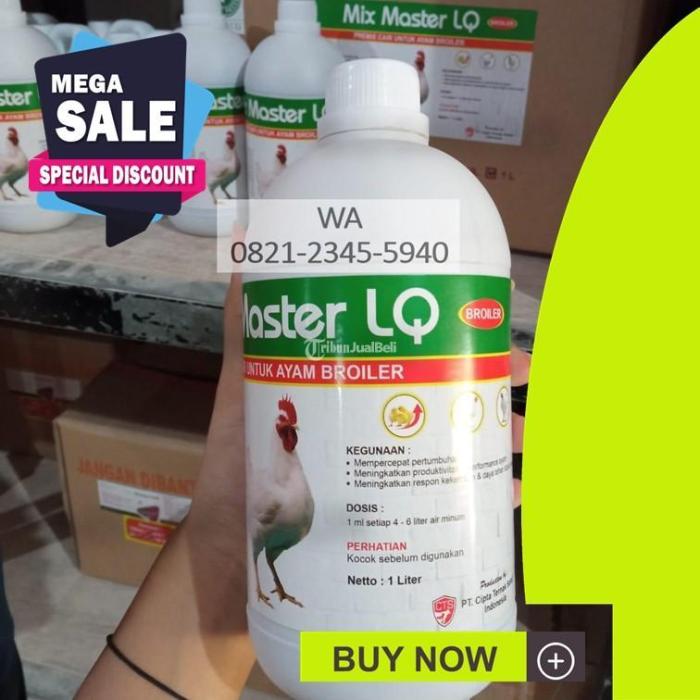 Ini suara Ayam Hutan desa wasilomata, kec.Mawasangka Buton tengah - YouTube Daun penggemuk ayam di Mawasangka Timur, Buton Tengah