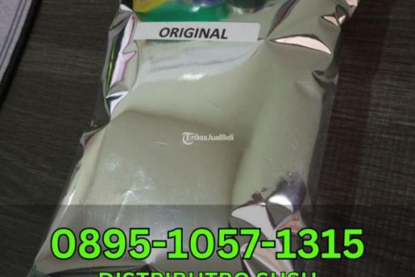 Susu kambing di Mojoagung, Jombang