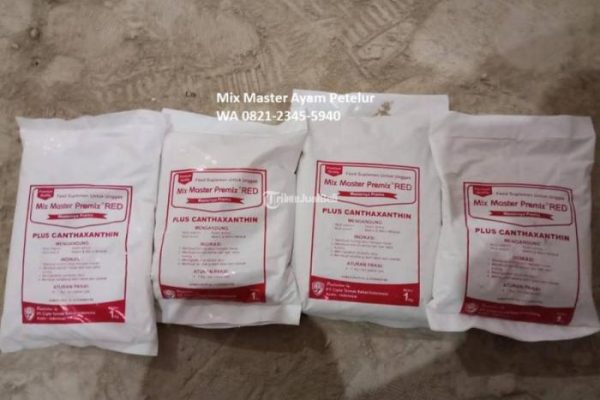 Daun penggemuk ayam di Kuripan, Lombok Barat