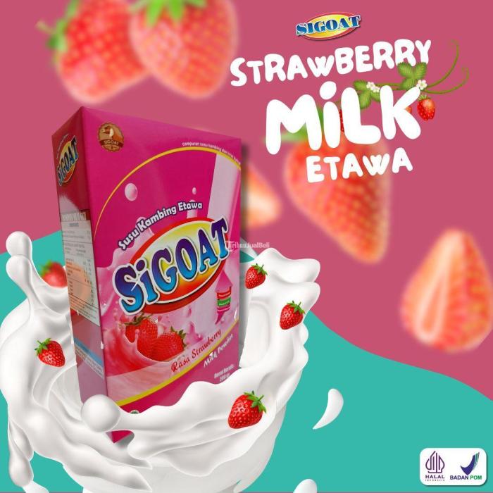 Susu kambing di Pajangan, Bantul