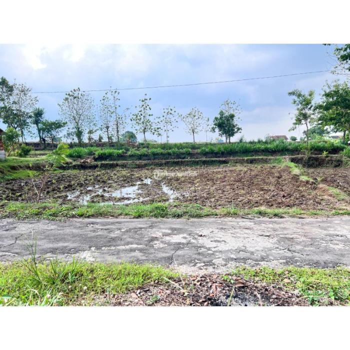 Dijual Tanah Pekarangan Datar Luas 792m SHM di Mojogedang di ... Dijual Tanah Pekarangan Datar Luas 792m SHM di Mojogedang di ...