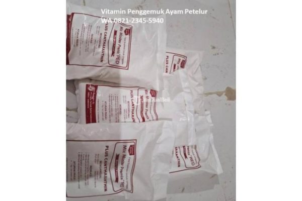 Daun penggemuk ayam di Bikomi Utara, Timor Tengah Utara