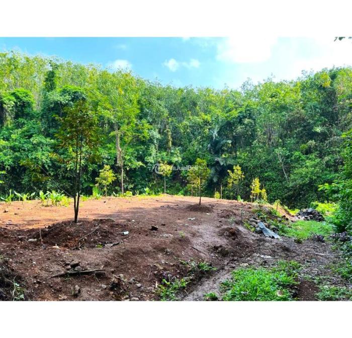 Budidaya ternak ayam di Kerjo, Karanganyar