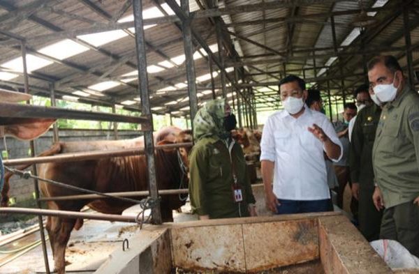 Daging kambing di Ngancar, Kediri