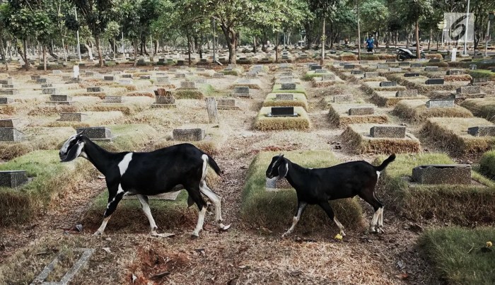 Daging kambing di Pondok Aren, Tangerang Selatan
