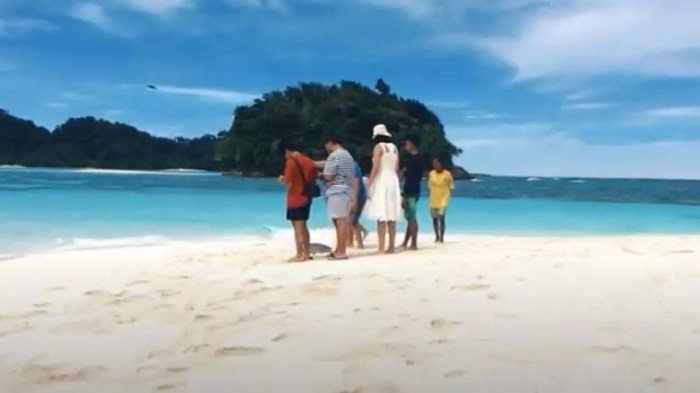 Daun penggemuk ayam di Poom, Kab. Kepulauan Yapen