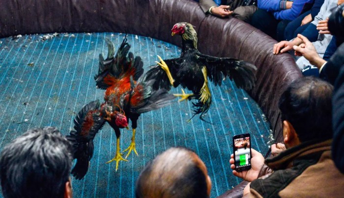 30 Resto Ayam Geprek Sambal Paling Enak di Subang - MenuKuliner.net 30 Resto Ayam Geprek Sambal Paling Enak di Subang - MenuKuliner.net