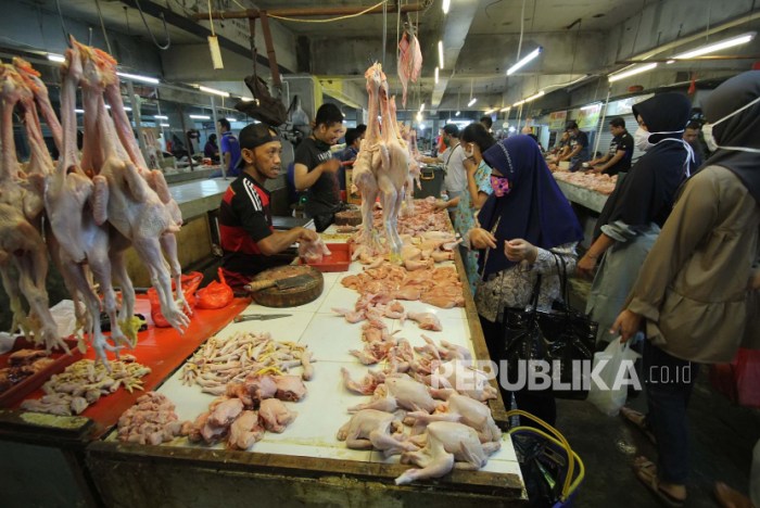 Harga Ayam Potong di Ternate Naik Jelang Idul Adha | Republika Online