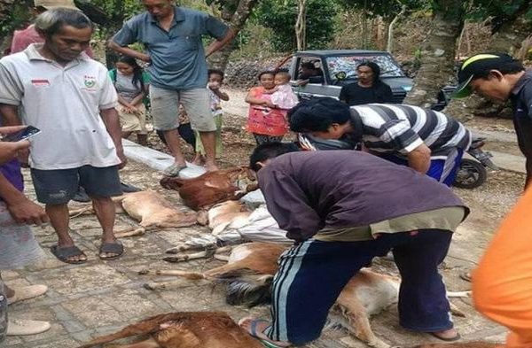 Daging kambing di Ngambon, Bojonegoro