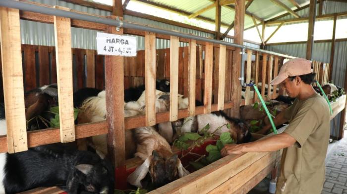 Daging kambing di Tarik, Sidoarjo