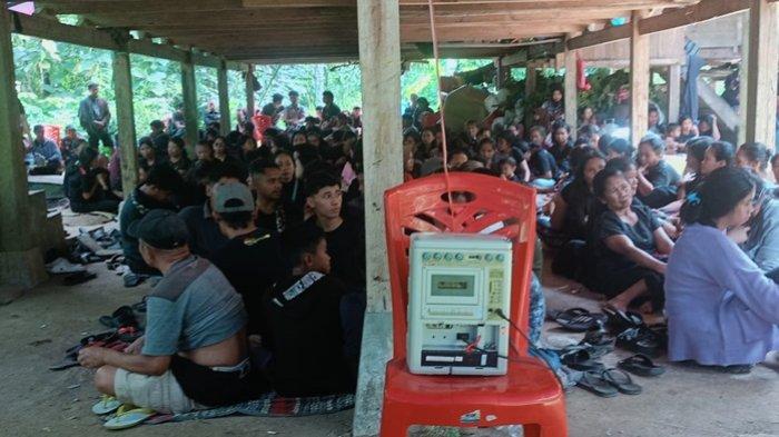 Daun penggemuk ayam di Makale, Tana Toraja