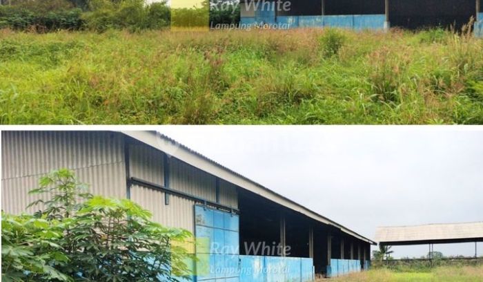 Inilah Pesan Moral KH Muhayat Kepada MWC NU Bumi Ratu Nuban dan PAC GP ...