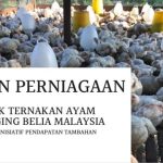 Taklimat Projek Penternakan Ayam Pedaging – Majlis Belia Malaysia