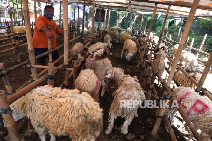Daging kambing di Cibadak, Kab. Lebak