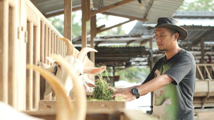 Daging kambing di Kroya, Cilacap