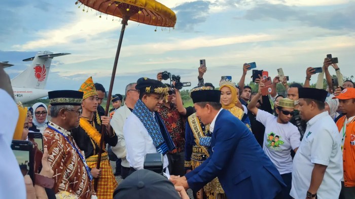 Daun penggemuk ayam di Bungku Selatan, Morowali