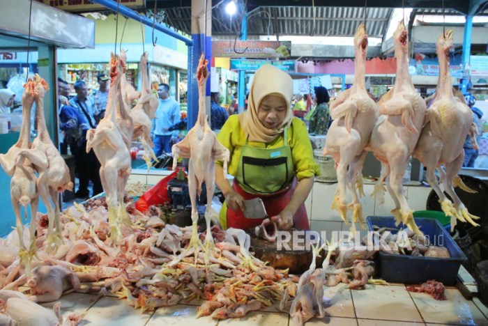 Budidaya ayam di Metro Pusat, Kota Metro