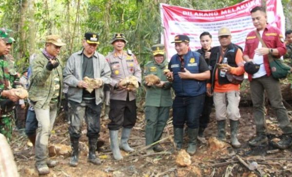 Daun penggemuk ayam di Lindu, Sigi