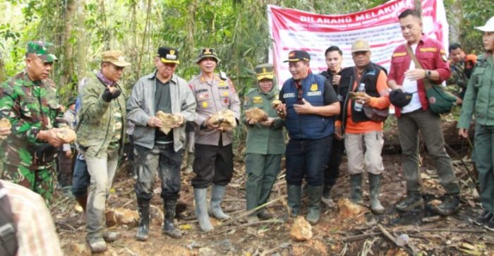Daun penggemuk ayam di Lindu, Sigi