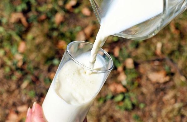 Susu kambing di Sumber, Rembang