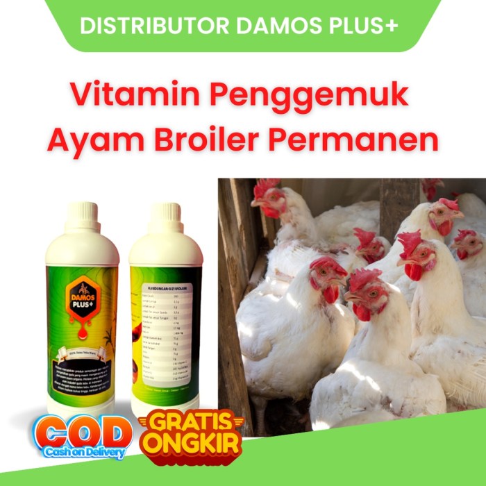 Daun penggemuk ayam di Laboya Barat, Sumba Barat