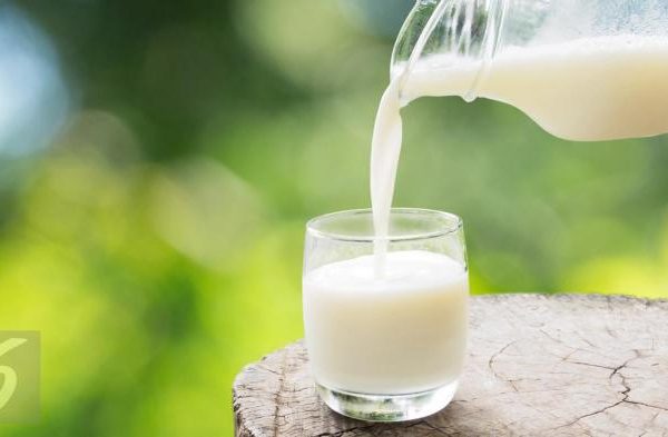 Susu kambing di Karangpucung, Cilacap