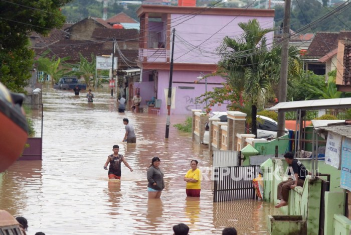 Ternak Ayam Kampung di Teluk Betung Selatan, Kota Bandar Lampung