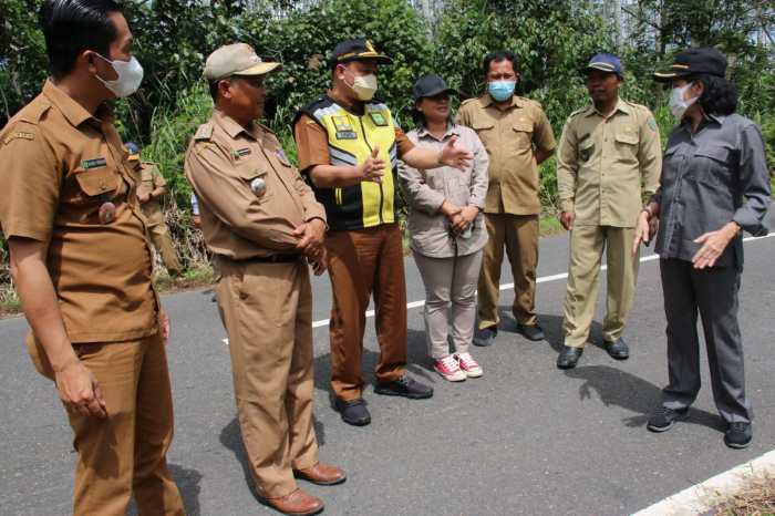 Daun penggemuk ayam di Pandih Batu, Pulang Pisau