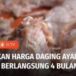 VIDEO: Tingginya Harga Daging Ayam Buat Pedagang di Tasikmalaya ...