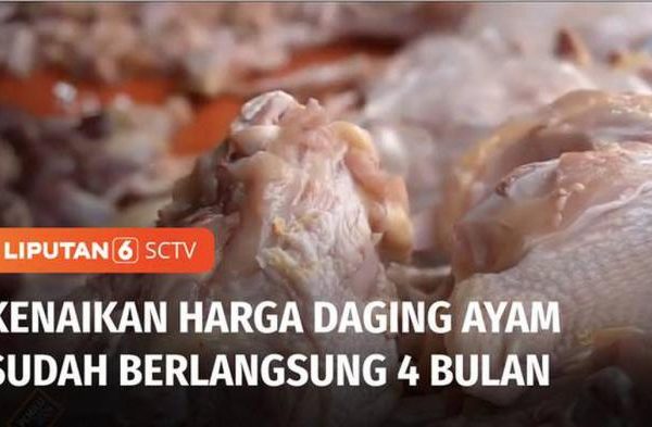 VIDEO: Tingginya Harga Daging Ayam Buat Pedagang di Tasikmalaya ...