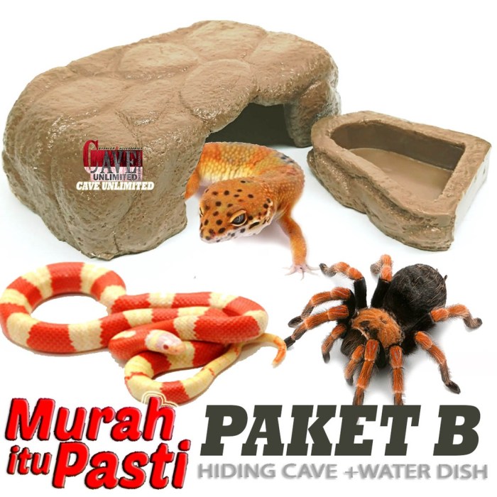 Jual PAKET B HIDINGCAVE PLACE + WATERDISH TERRARIUM AQUARIUM KANDANG ... Kandang Gecko Plus Hiding Cave / Kandang Akrilik Reptil / Terrarium Mini / Enclosure - TR30