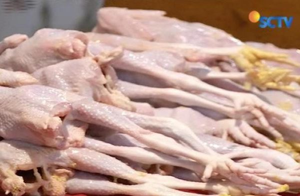 Harga ayam kampung potong di Sliyeg, Indramayu