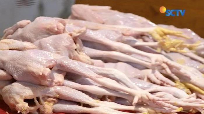 Sepekan Puasa, Harga Ayam Kampung di Yogyakarta 100 Ribu per Kilo ... Harga ayam kampung potong di Sliyeg, Indramayu